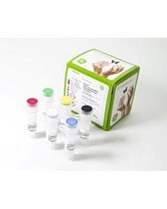 Cytiva illustra Single Cell GenomiPhi DNA Amplification Kit, 10kb, 100 rxns, 2 to 4 hr Reaction Time,
